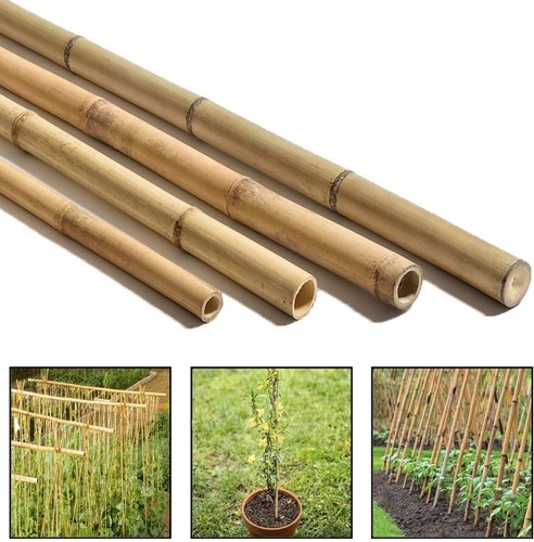 Bamboo canes 5ft heavy - heavy, duty