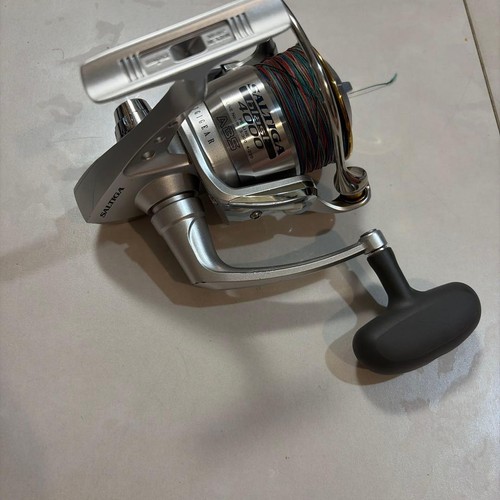 Daiwa saltiga 4000 fishing - saltiga,