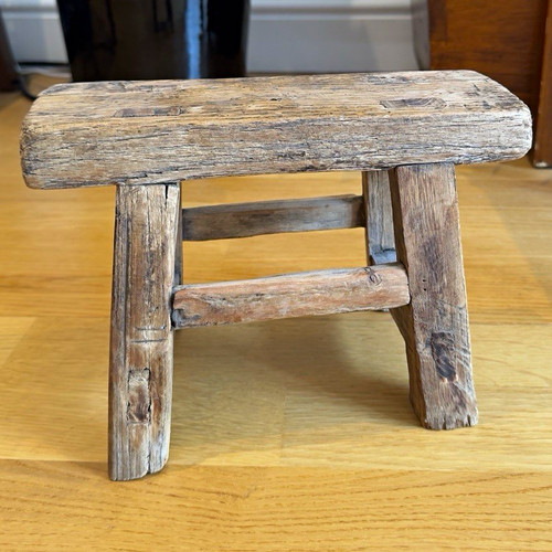 Antique chinese elm - antique,