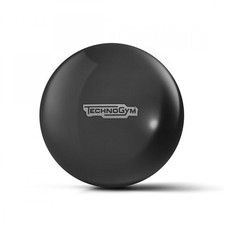 Technogym Wellness Ball / Gym