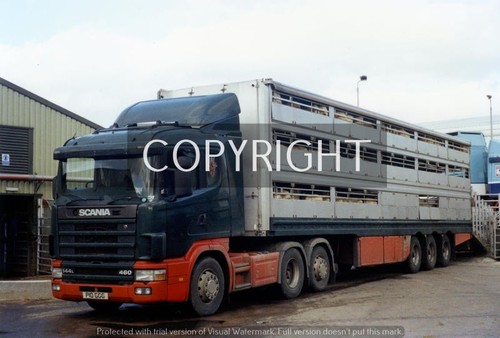 Truck lorry photo - truck/lorry,