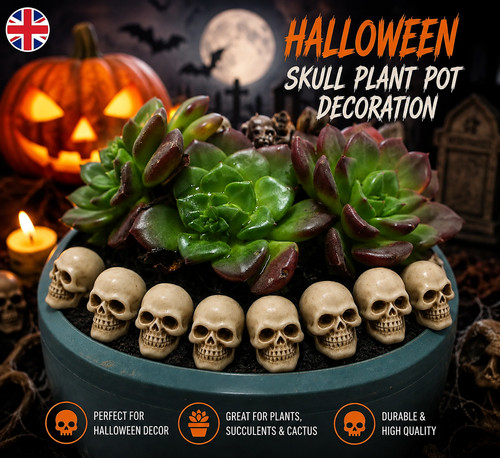 Realistic plastic skull head - plastic,