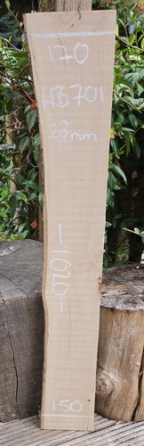Hornbeam live edge slab - live,