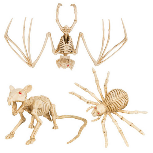 Halloween animal skeleton - animal, prop
