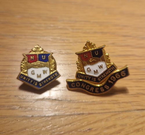 Lot nmwu pin badges jr - badges,,