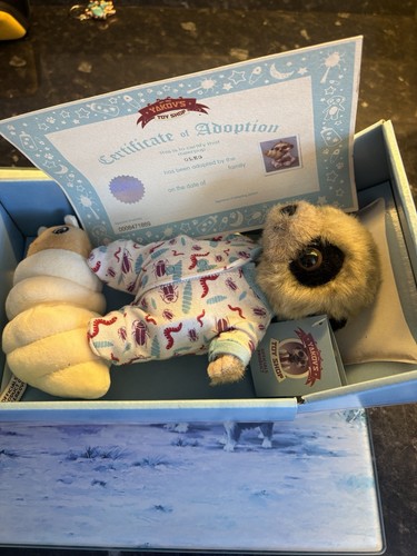 Compare the meerkat baby - meerkat, oleg