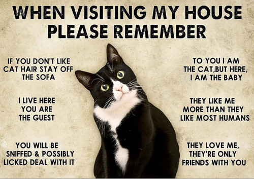 Funny cat aluminium metal sign - funny,