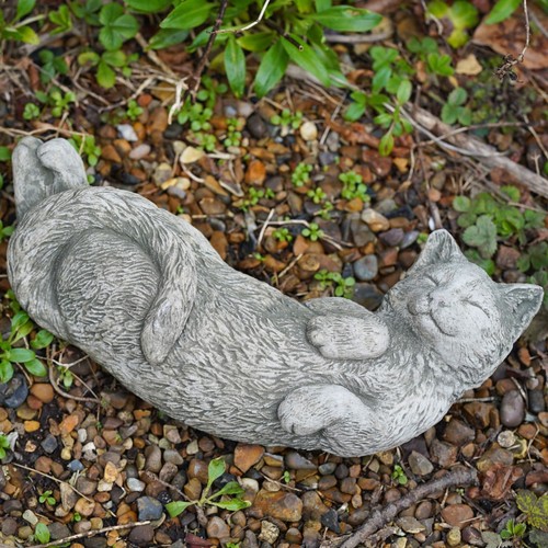 Laying cat stone - laying,