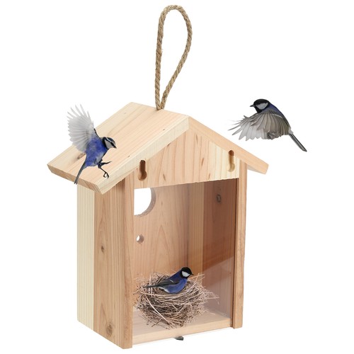 Window bird house houses - bird,