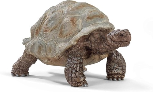 Wild life giant - giant, tortoise