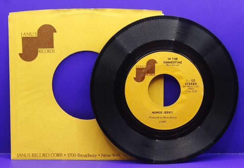 Mungo jerry the summertime - mungo,