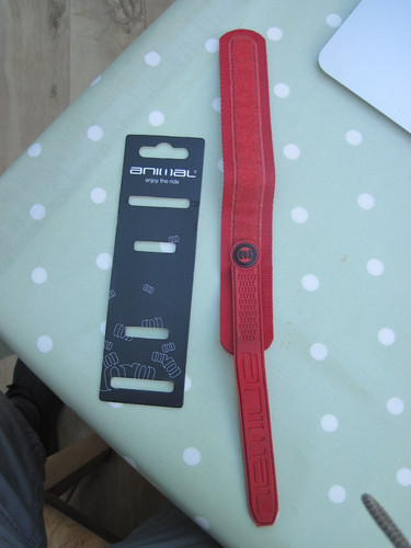 Animal red watch - animal, old