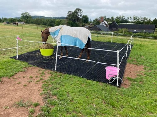 22mm gateway grass mats - x,