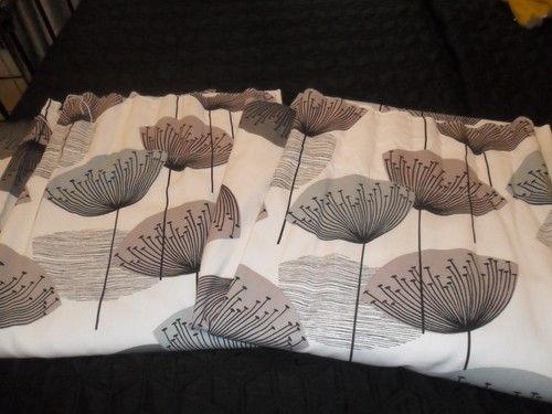 Pair sanderson dandelion - of,