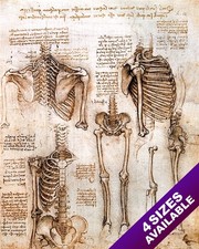 LEONARDO DA VINCI SKETCH