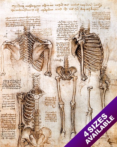 Leonardo vinci sketch - leonardo, da