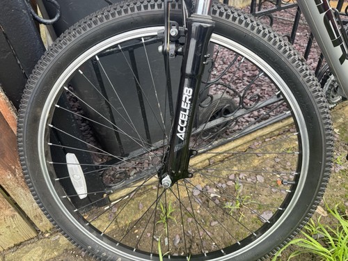 Tiger men mountain bike - tiger, men's