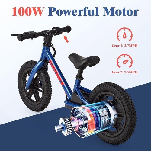 24v 100w electric bike - 24v, for