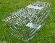 57"INCH X-LARGE PORTABLE DOG