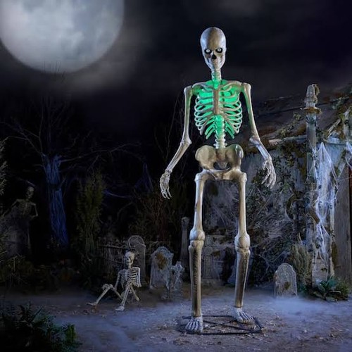 12ft animated led - animated, skelly