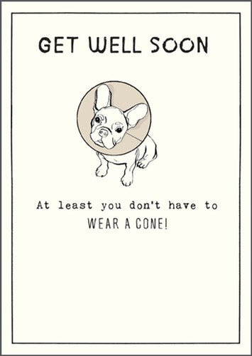 Funny dog cone get well - funny, soon