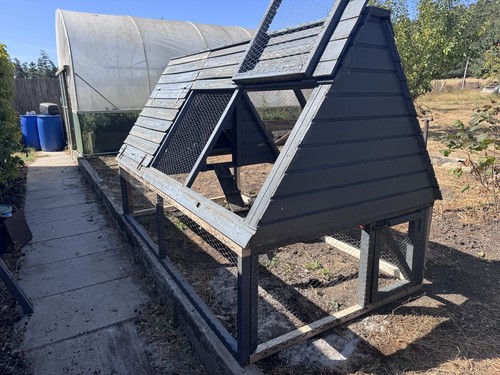 Chicken coop run hen house - hen,