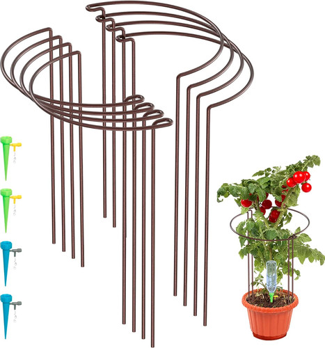 Kazitoo pack bow plant - 8,