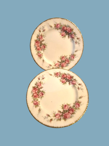 Vintage paragon bone china - paragon,