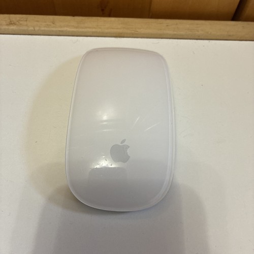 Apple magic mouse 1st - apple,