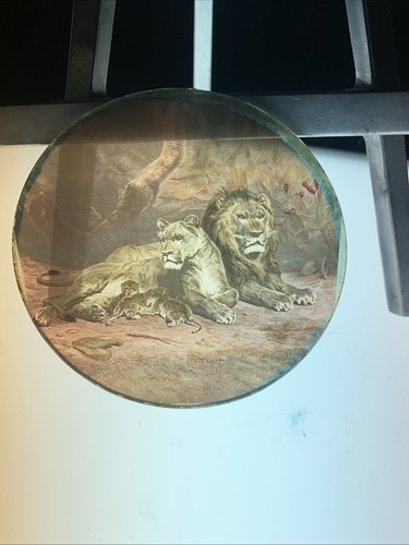 Magic lantern victorian glass - magic,