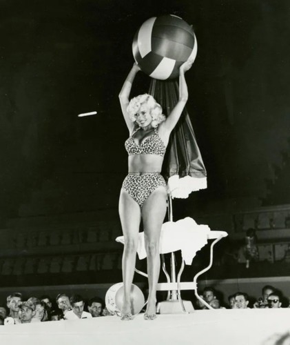 Jayne mansfield glossy - jayne, photo