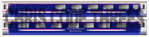 Adhesive vinyl coach decal - coach,