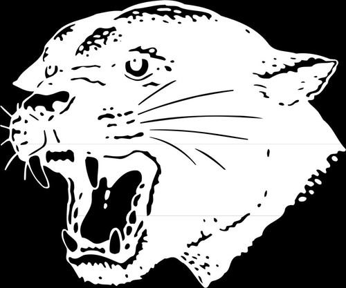 Panther mascot 1 color - panther,