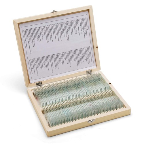 Swift microscope 100 slides - 100,