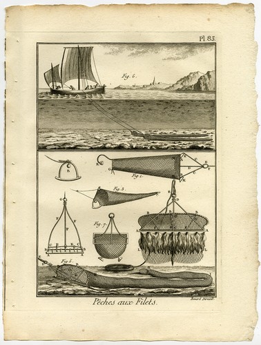 Antique fishing print trawl - antique,