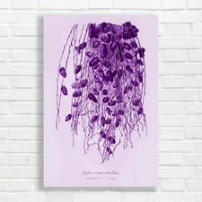 Botanical Vintage Botanical