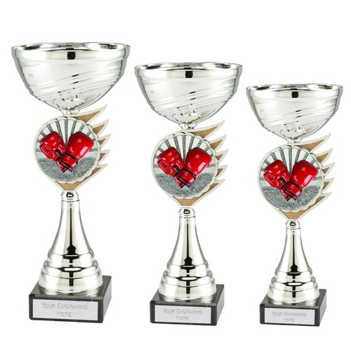 Personalised silver boxing - personalised,