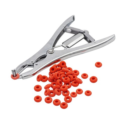 Castration forceps veterinary - castration,