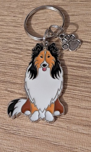 Adorable rough collie - adorable,