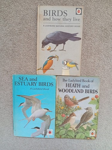 Ladybird books about - about, birds