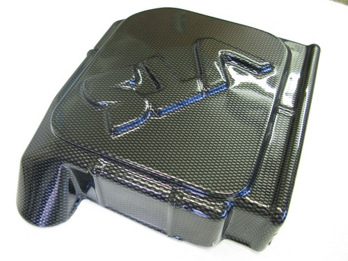 Citroen saxo vts ecu cover - ecu,