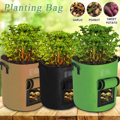 Gallon plant grow bags - 7/10,