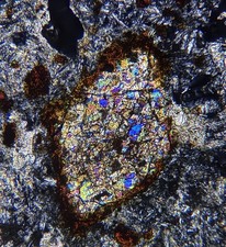 Meteorite NWA 17826  Lunar