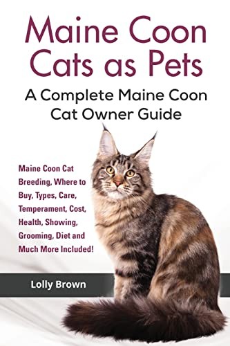 Maine coon cats - coon,