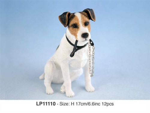Jack russell terrier - terrier, dog