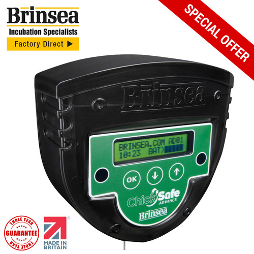 Brinsea chicksafe advance - advance, hen