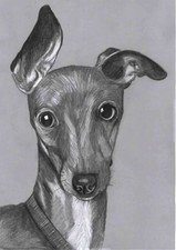 Original pencil Drawing Art