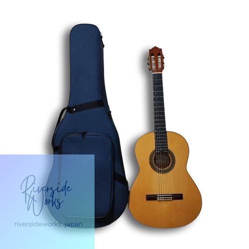 Paco castillo flamenco - paco, guitar