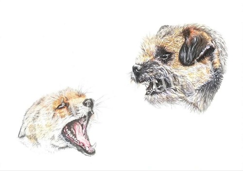 Hunting romany gypsy terrier - hunting,