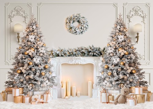 Ft christmas photography - 8,